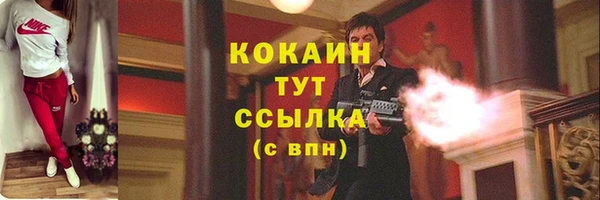 стаф Белокуриха