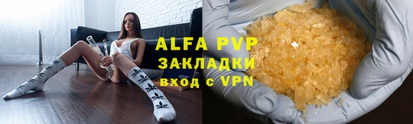 стаф Белокуриха