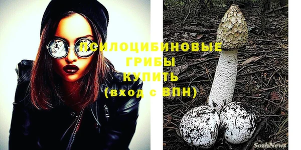 стаф Белокуриха