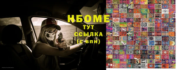стаф Белокуриха