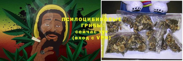 стаф Белокуриха